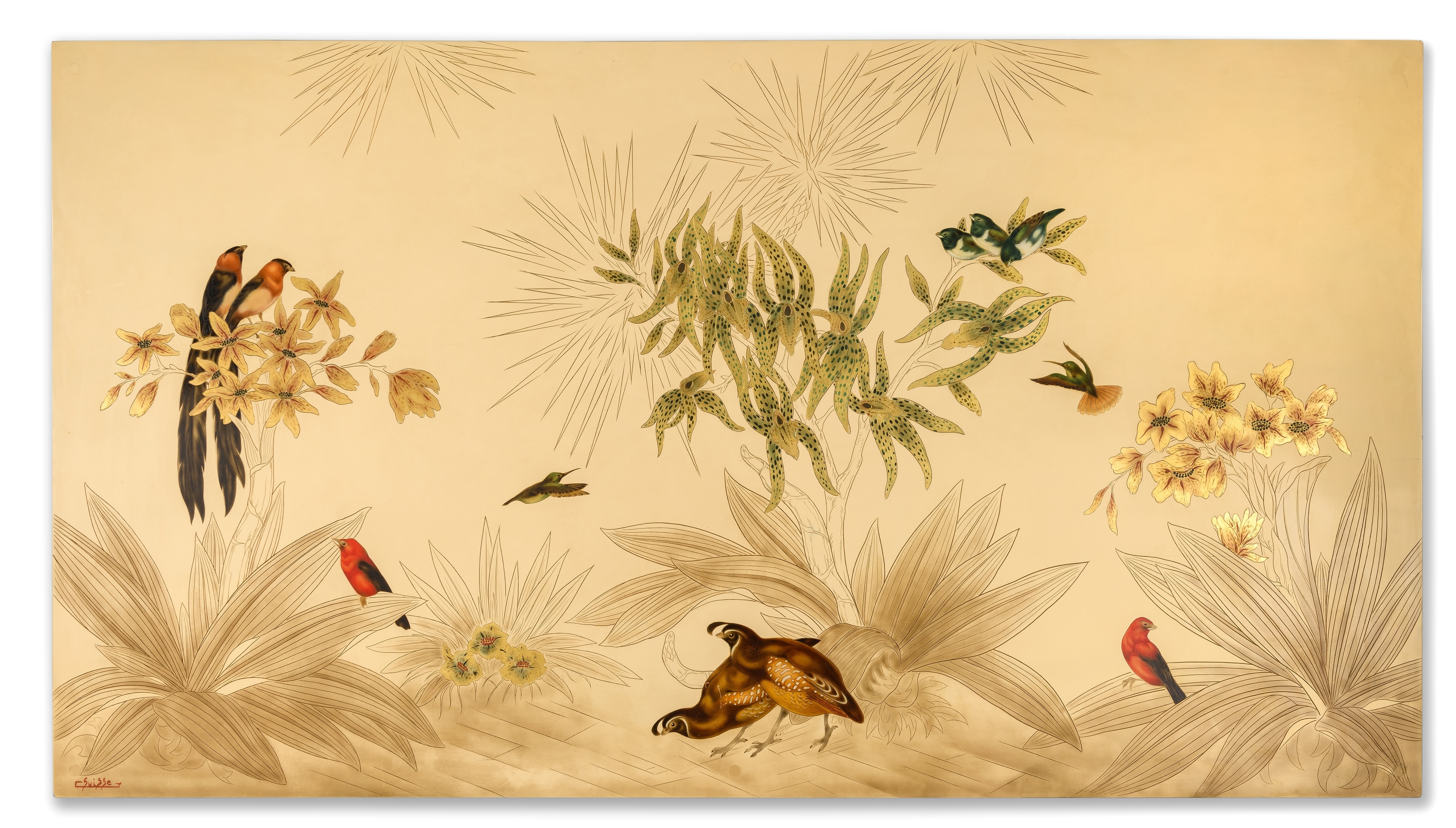 Colins de Californie, et oiseaux exotiques.